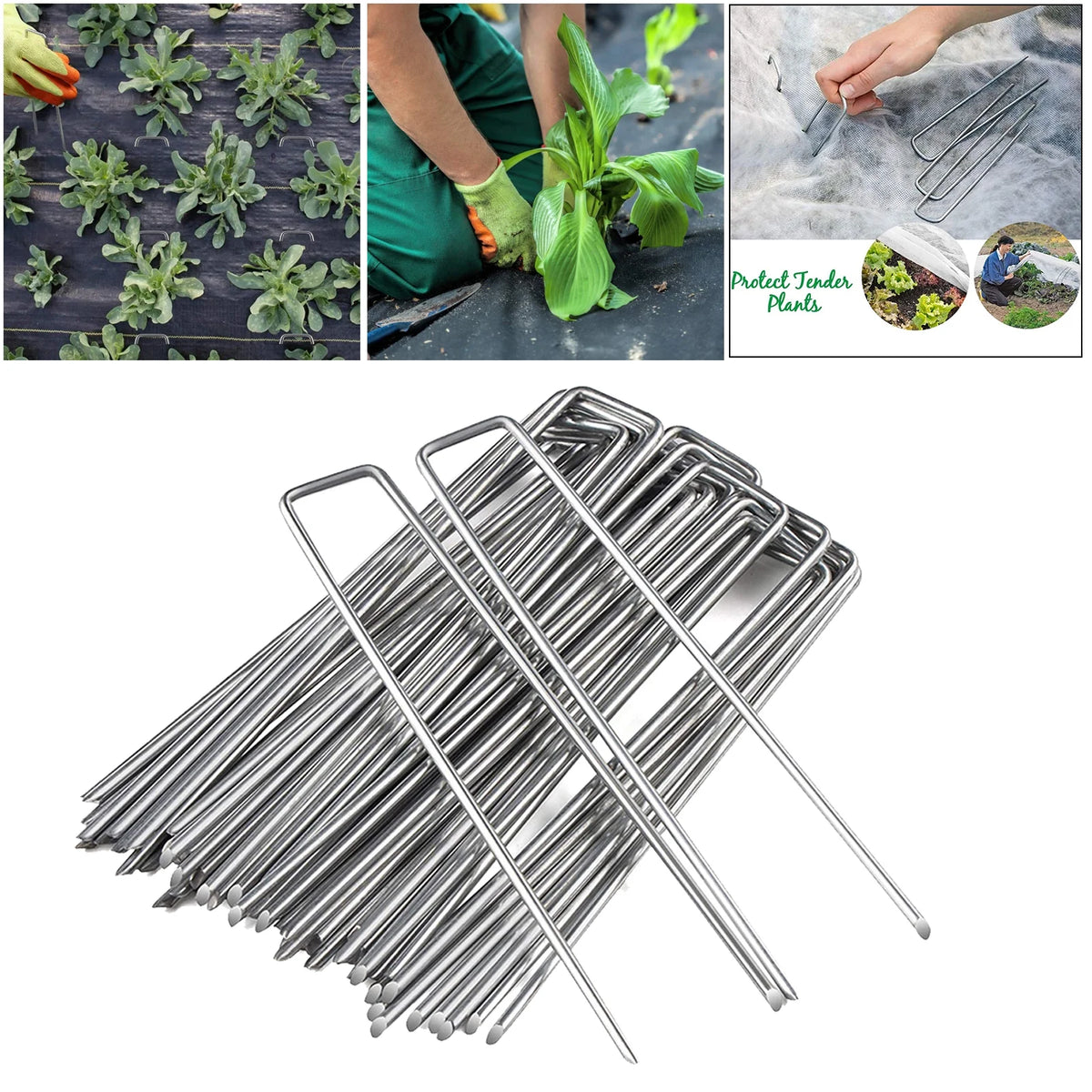 50 Packs Galvanised Turf Staples Ground Pegs S9653