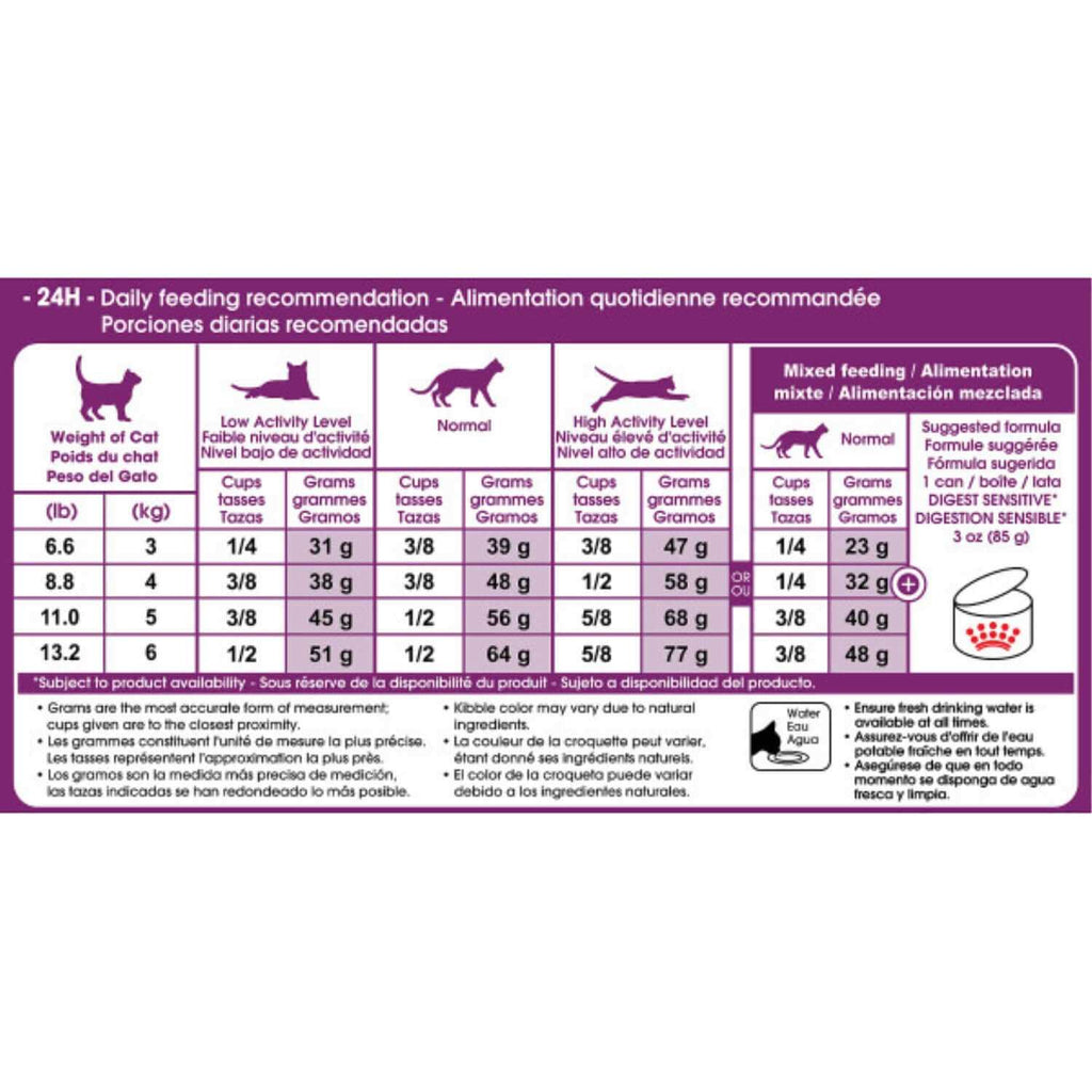 Cat Dry Food Q200630