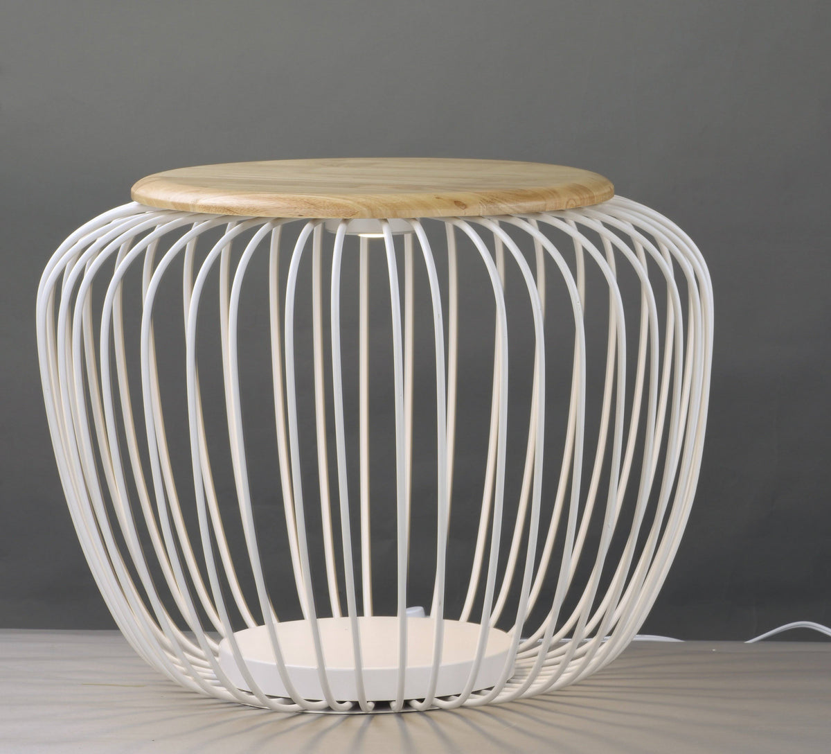 LED Floor Lamp N63585