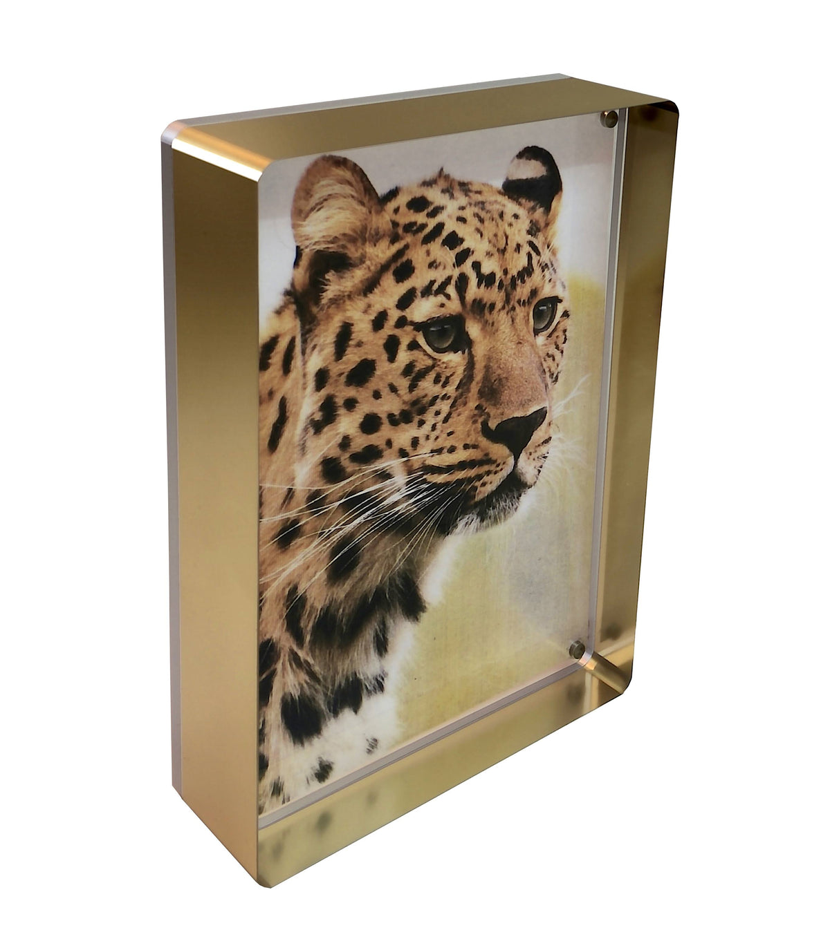 Magnet Frame Gold Silver 5x7 Y193