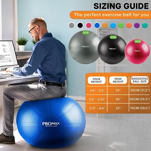 Exercise Ball I451833