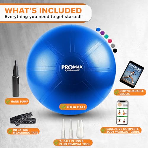 Exercise Ball I451833