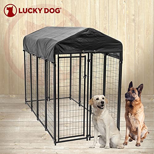 Black Powder Coat Steel Frame Outdoor Dog Kennel with Waterproof Canopy Roof and Gate Door D471