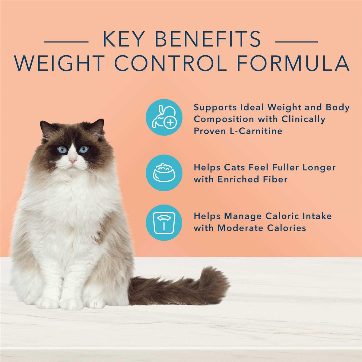 Adult Dry Cat Food O555