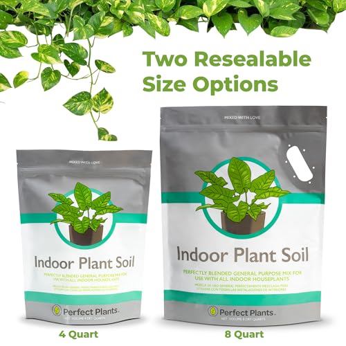 Indoor Plant Potting Mix 8qt B7345