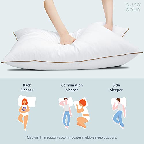 Goose Feathers and Down Pillow Set of 2 Queen X362