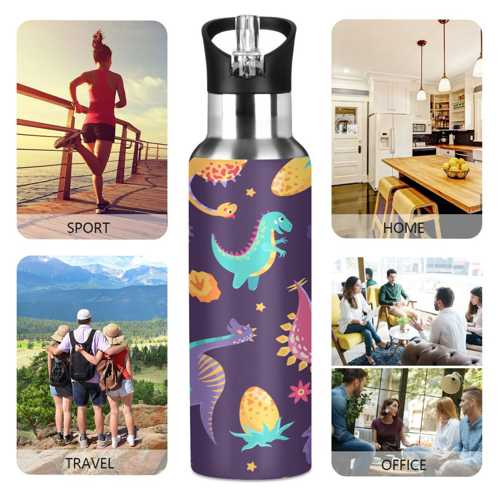 Stainless Steel Insulated Water Bottle with Straw Lid T796