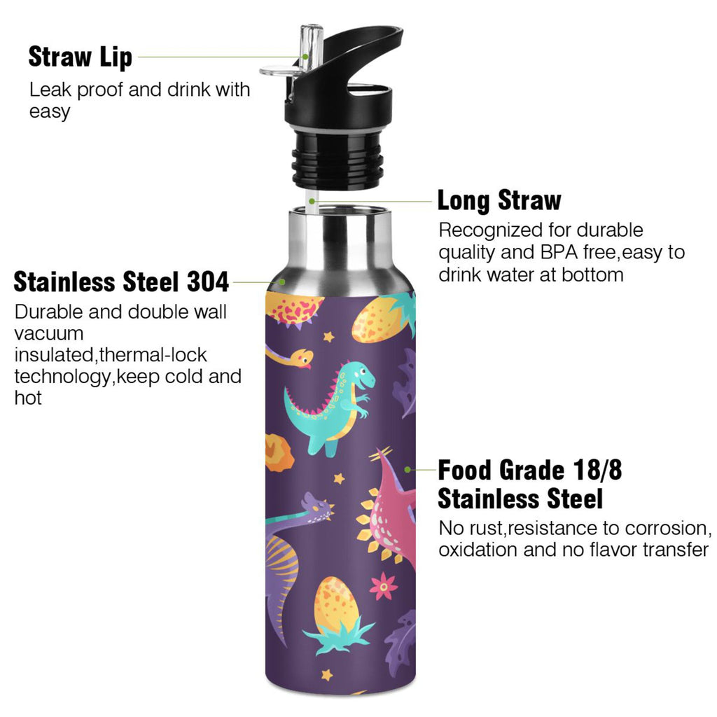 Stainless Steel Insulated Water Bottle with Straw Lid T796