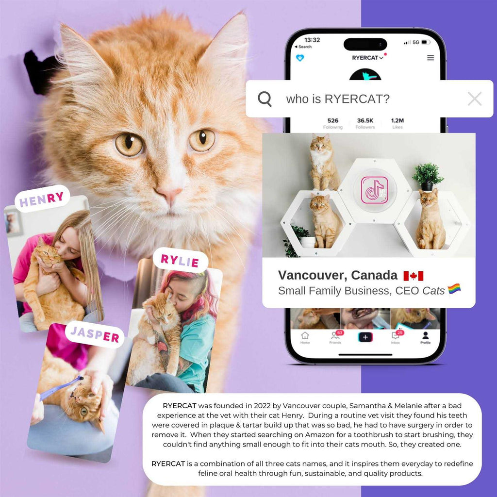 Dual Sided Cat Toothbrush V2089