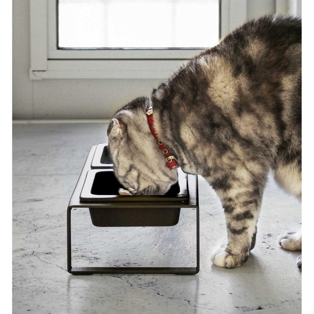 Pet Food Bowl Y239