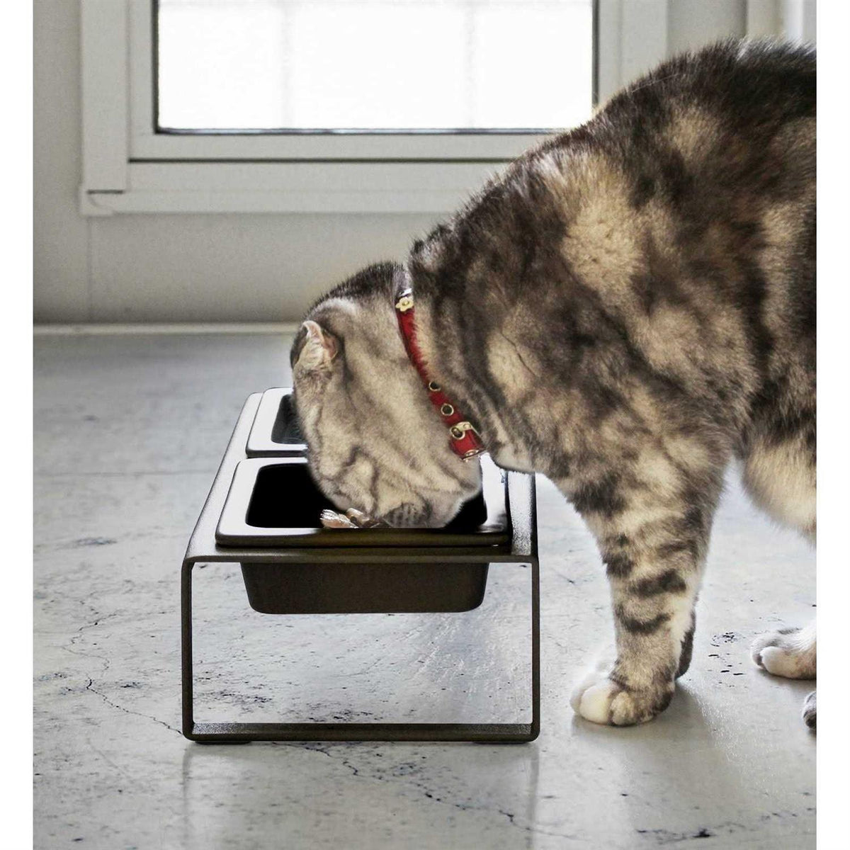 Pet Food Bowl Y239