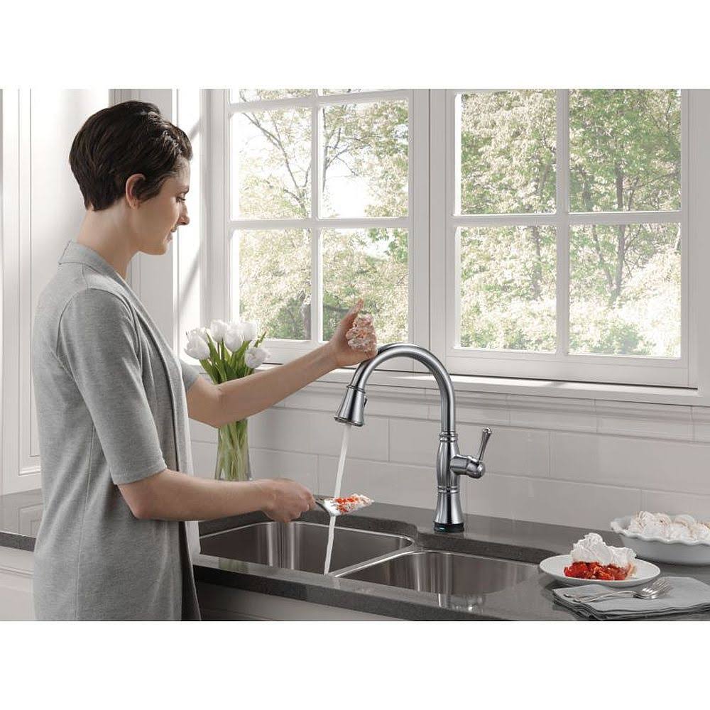 Arctic Stainless Pull-Out Spray Kitchen Faucet I746701