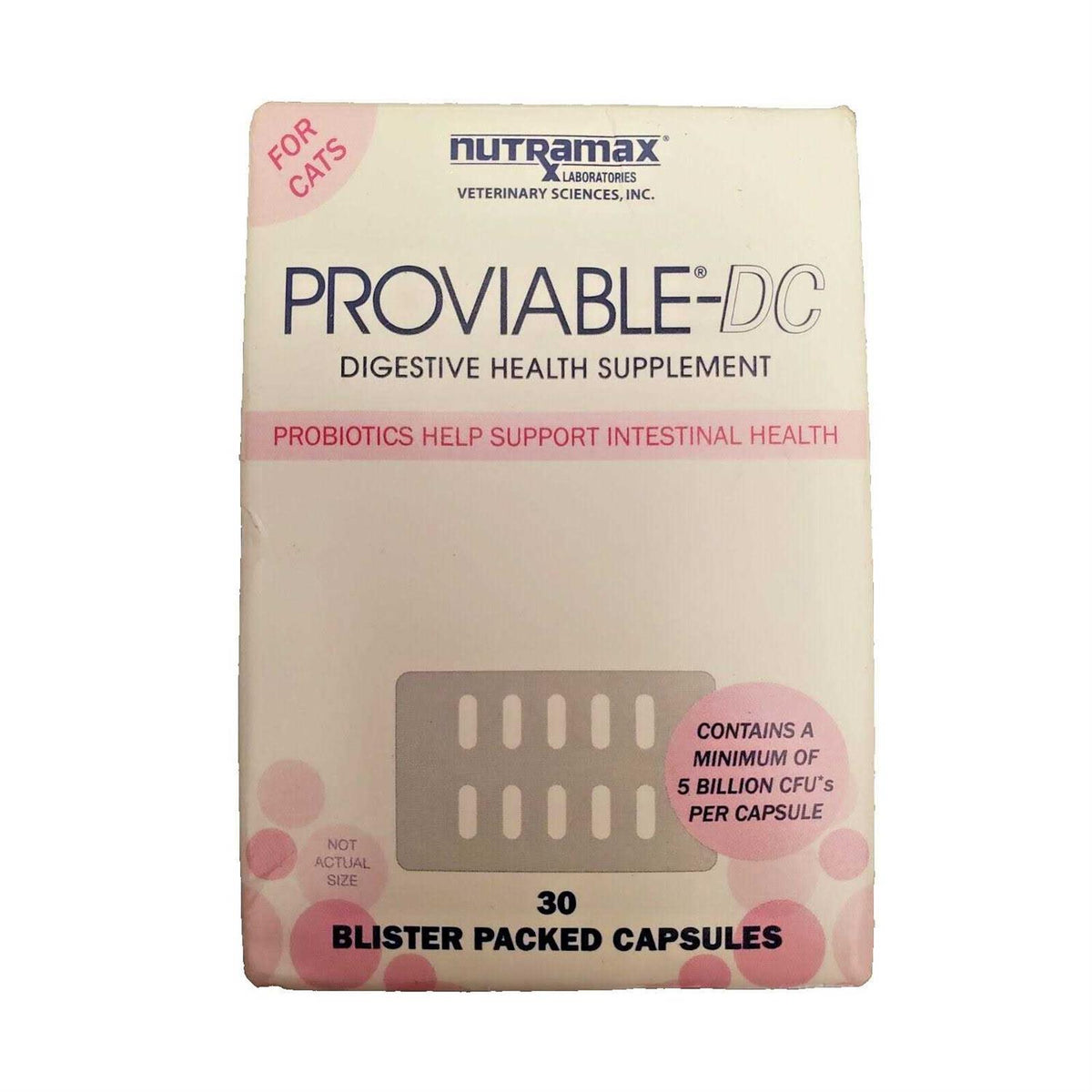Cat Digestive Supplement Capsules D15815
