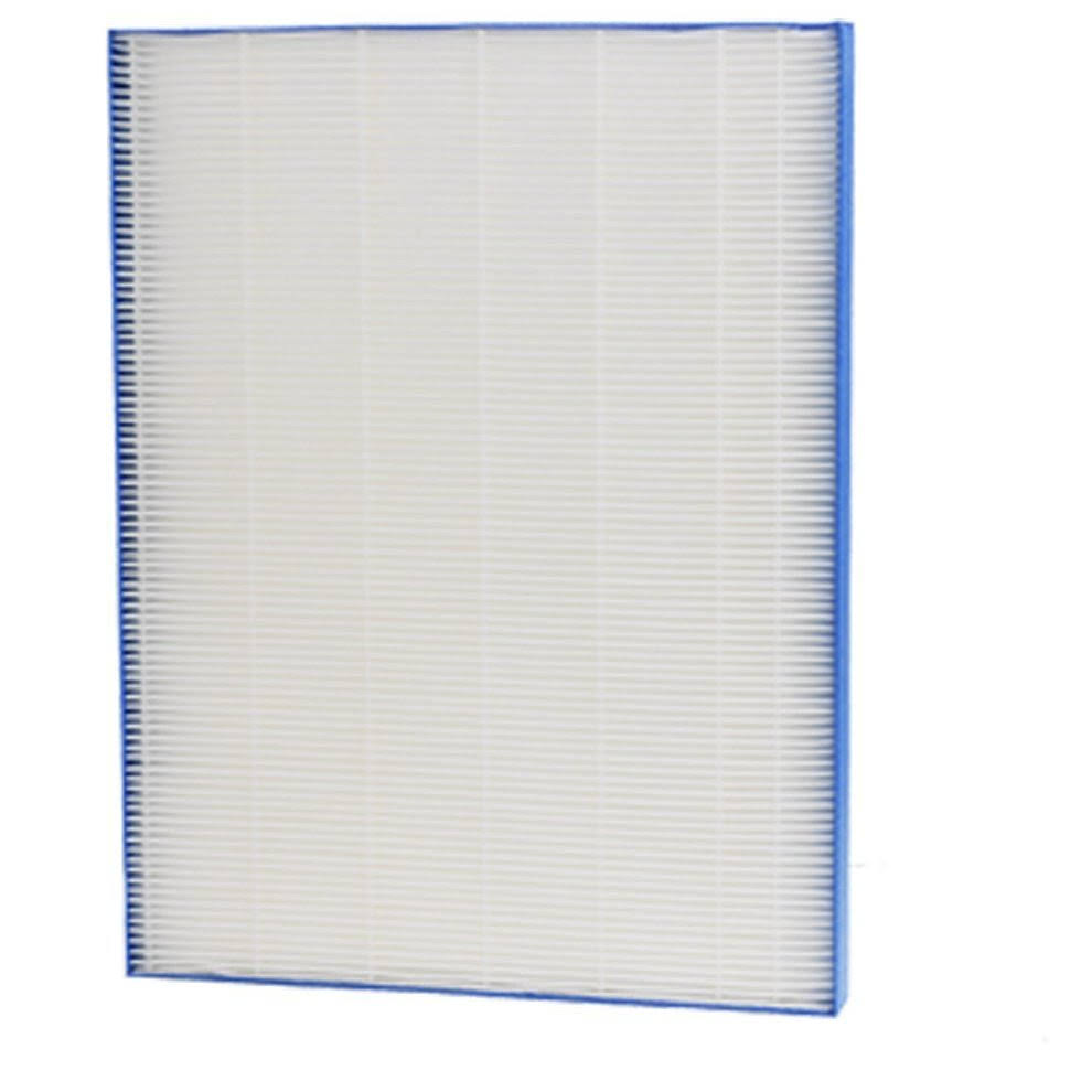 Long Life Washable Filter, Size 21, Carbon pre-filters(4) W621111