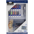 Clear View Acrylic Painting Art Set B206