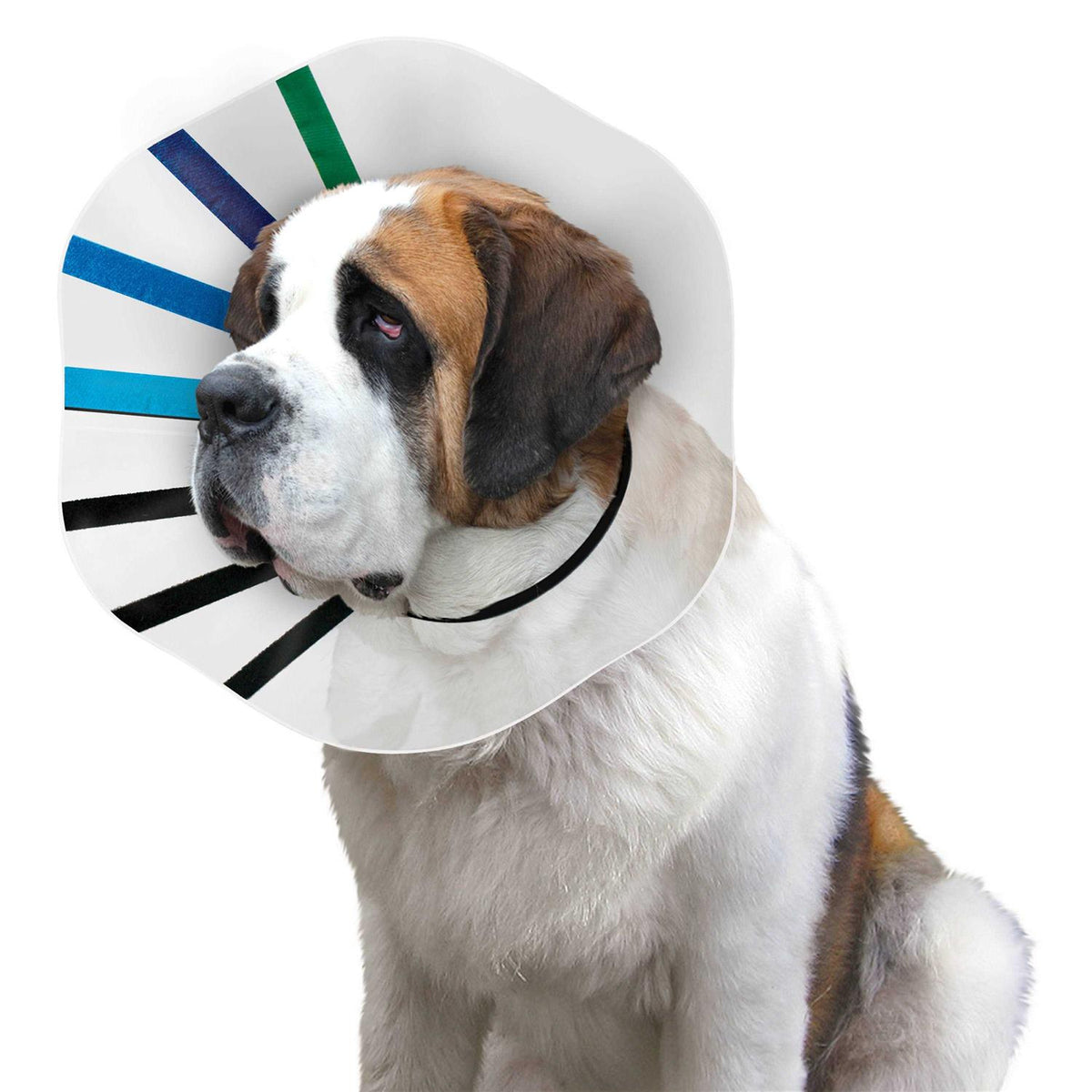 Clear Collar B634924
