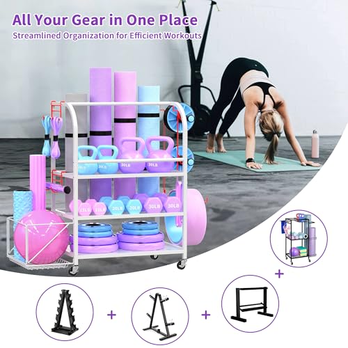 400LBS Metal Dumbbell Rack with Lockable Wheels N861