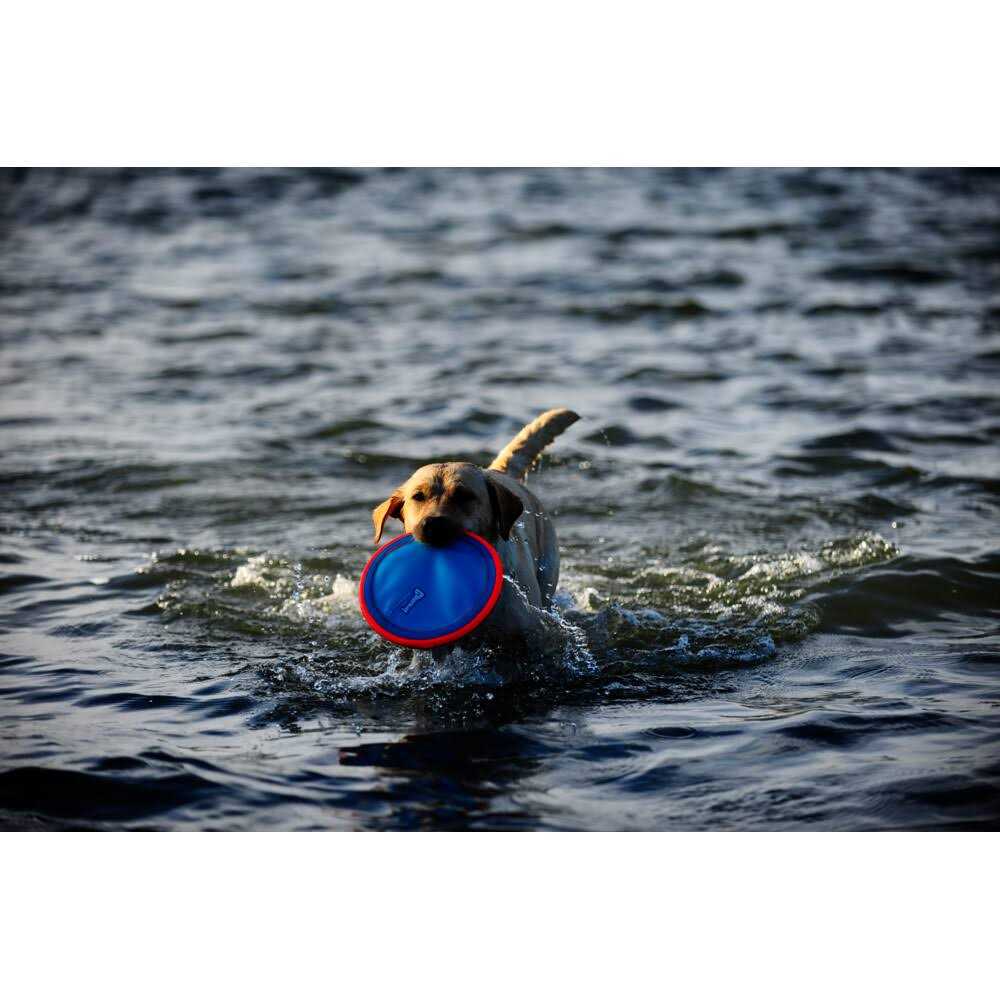 Dog Toy H1601
