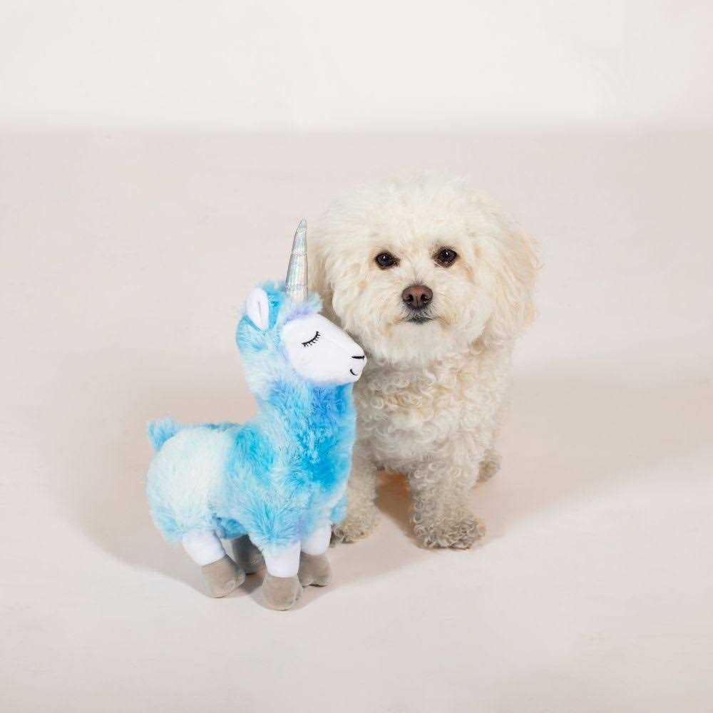 Dog Toy S5898