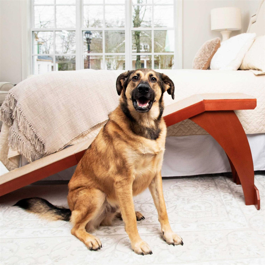 Pet Ramp Y69289