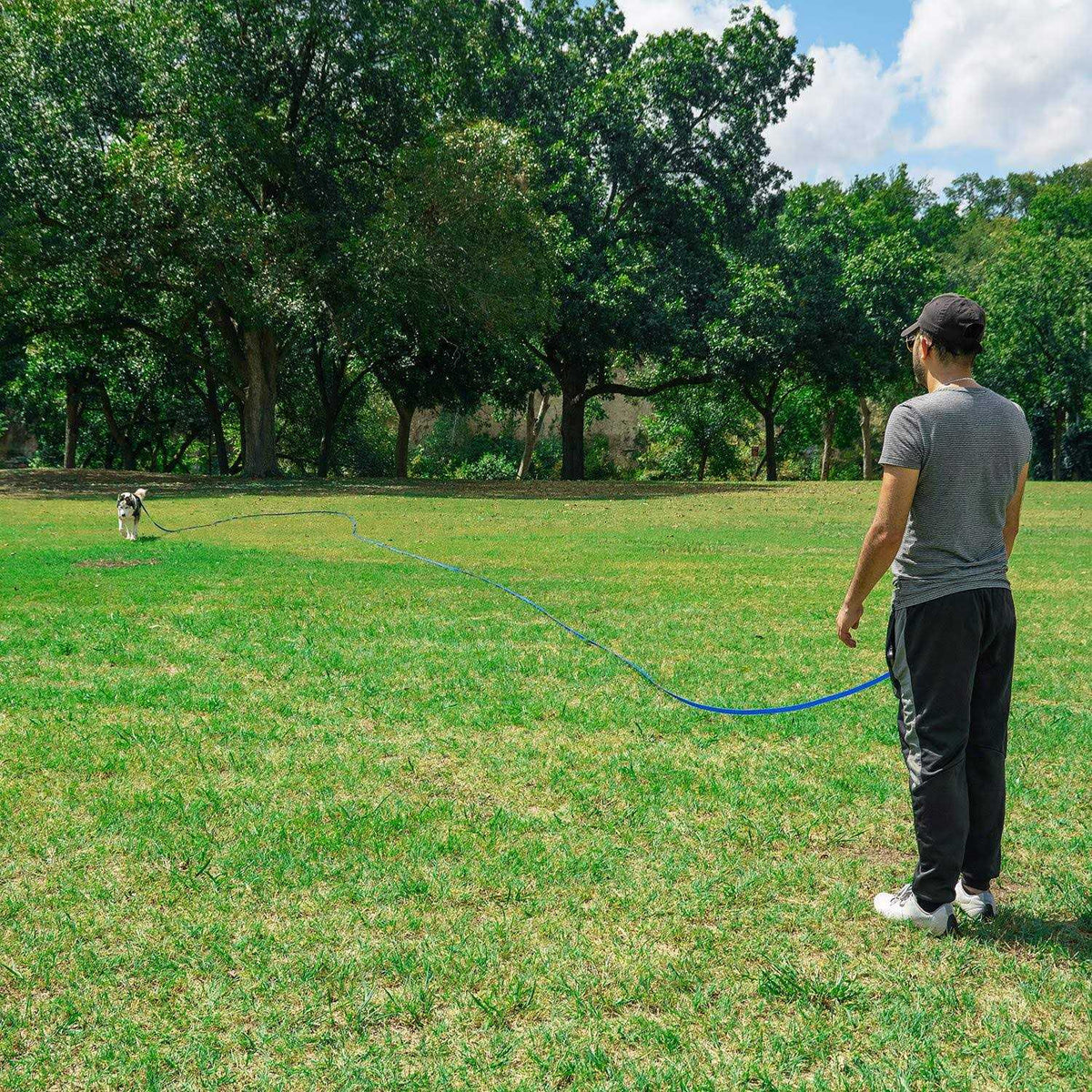 Dog Training Lead Leash R2187