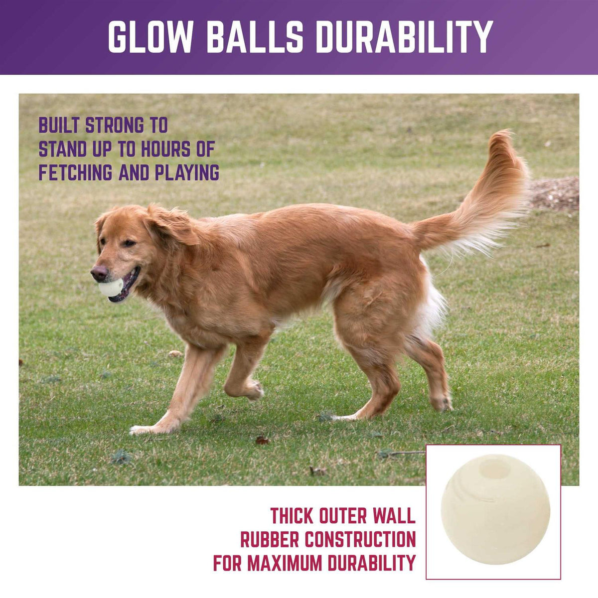 Glow Ball Dog Toys E32007