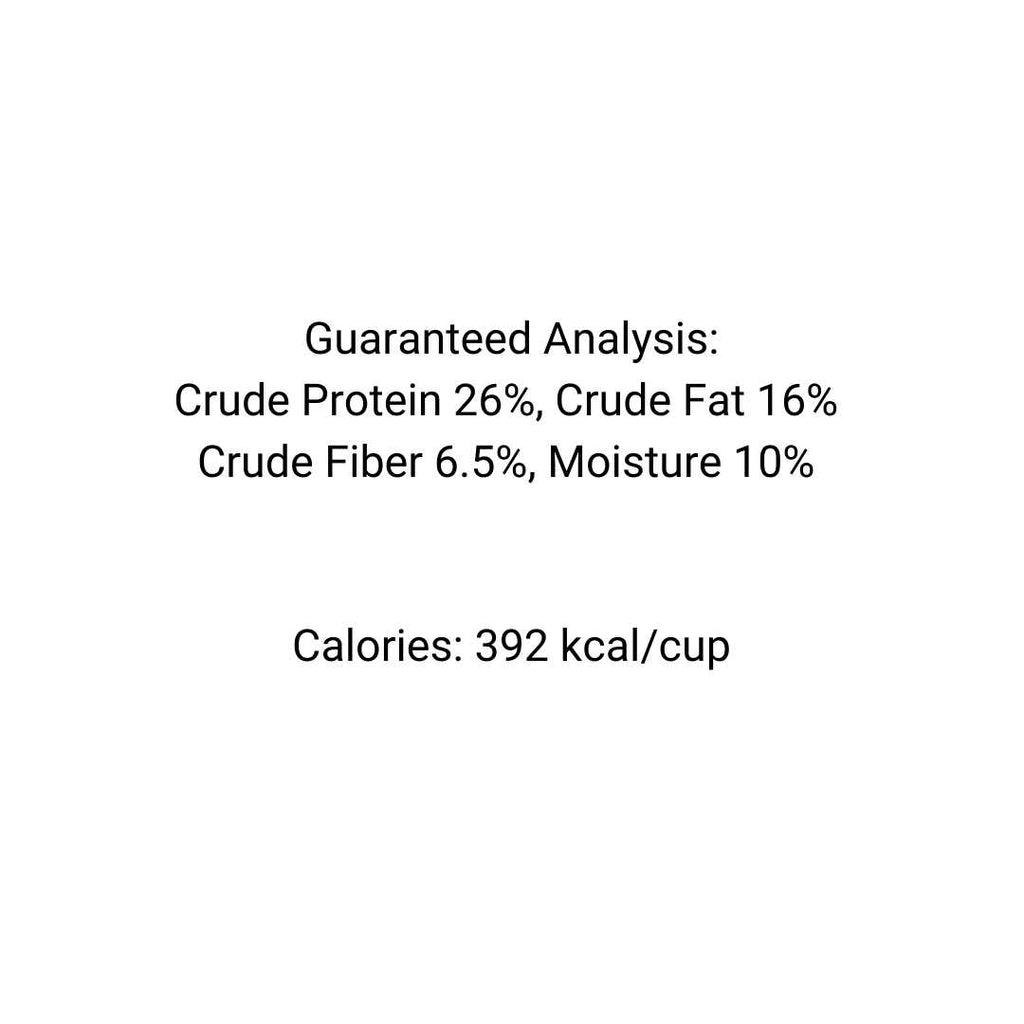 Chicken Dog Food O586905