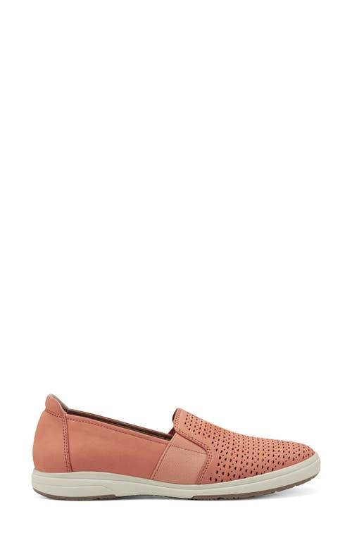 Cantaloupe Casual Shoes M975673