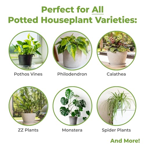 Indoor Plant Potting Mix 8qt B7345