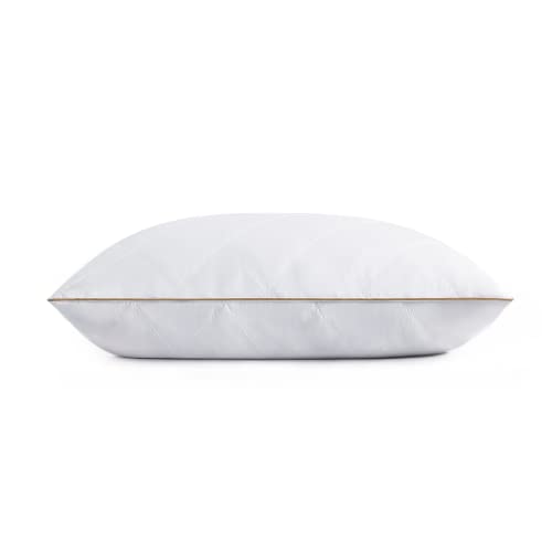 Goose Feathers and Down Pillow Set of 2 Queen X362