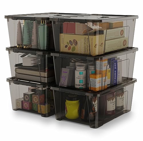 Clear Storage Bins with Lids, 6-Pack S96043