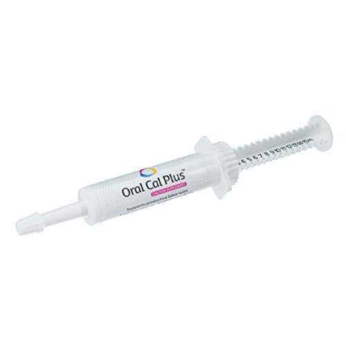 Oral Calcium Supplement L40602